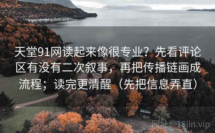 天堂91网读起来像很专业?先看评论区有没有二次叙事,再把传播链画成流程;读完更清醒(先把信息弄直)